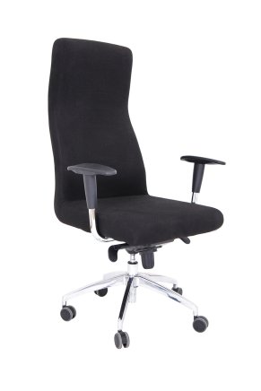 Zdravotnické křeslo REX Plus - 1