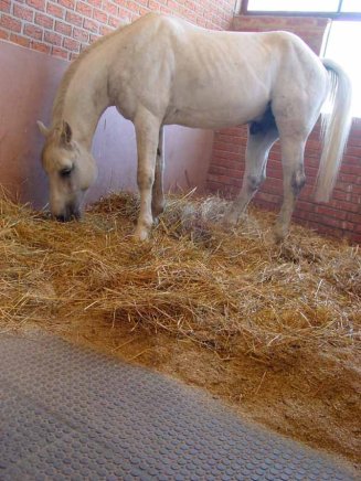 Podlahová deska velká typ 124 interiérová kuličková - 4