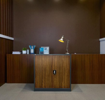 Plechová policová skříň s vloženými dveřmi C01B antracit/imitace tmavé dřevo - 4