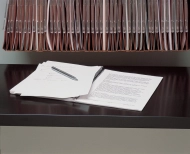 Výsuvná police BIC08DRSPS